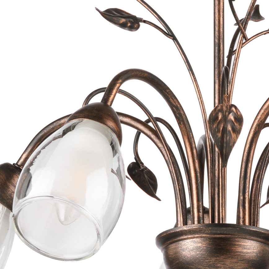 ONLI - Lámpara colgante con cadena LILIANA 5xE14/6W/230V
