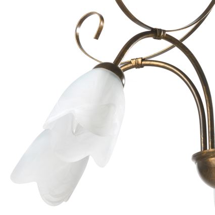 ONLI - Lámpara colgante con cadena ODINO 5xE14/6W/230V