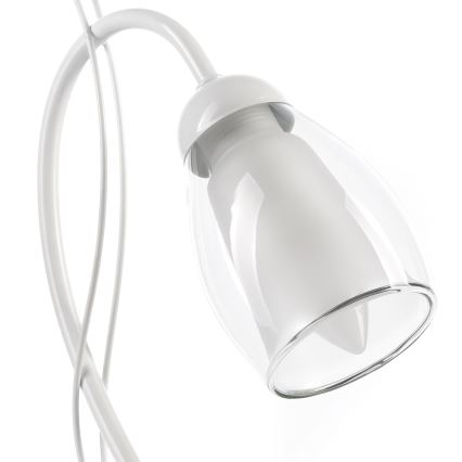 ONLI - Lámpara de mesa ANTEA 1xE14/6W/230V