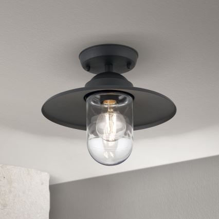 Lámpara de araña para exteriores EDWARD 1xE27/60W/230V IP44 negro