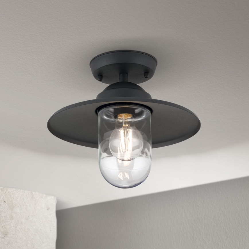 Lámpara de araña para exteriores EDWARD 1xE27/60W/230V IP44 negro