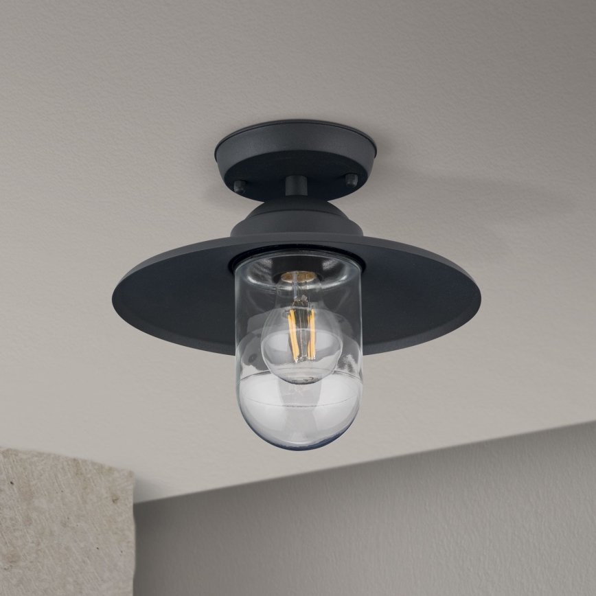 Lámpara de araña para exteriores EDWARD 1xE27/60W/230V IP44 negro