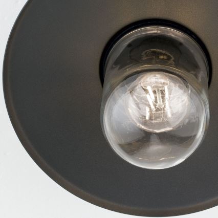 Lámpara de araña para exteriores EDWARD 1xE27/60W/230V IP44 negro