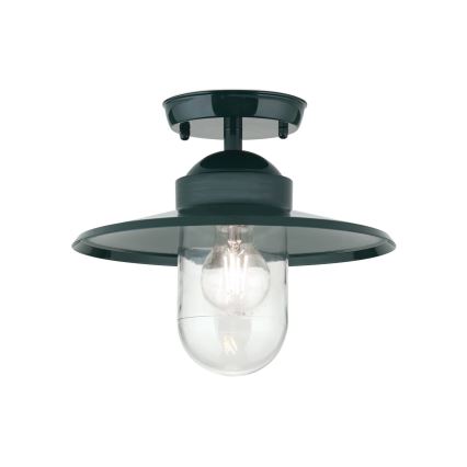 Lámpara de araña para exteriores EDWARD 1xE27/60W/230V IP44 verde