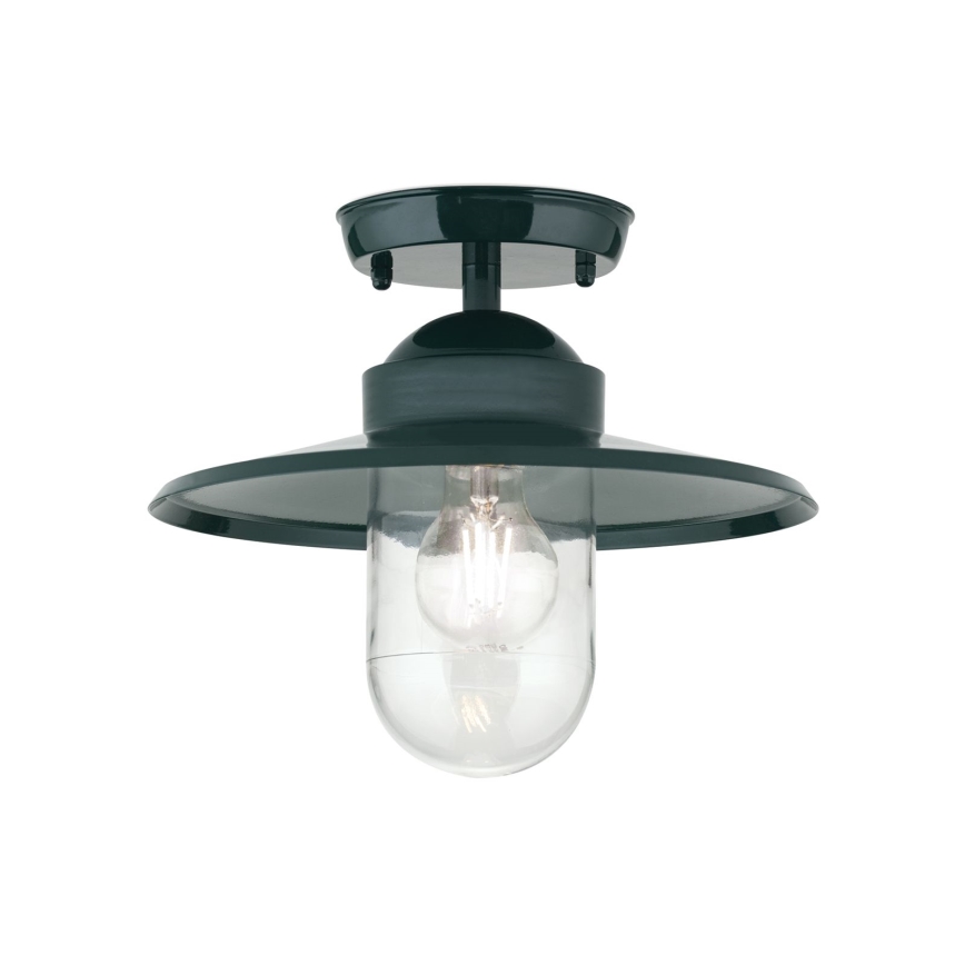 Lámpara de araña para exteriores EDWARD 1xE27/60W/230V IP44 verde