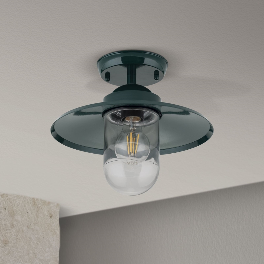 Lámpara de araña para exteriores EDWARD 1xE27/60W/230V IP44 verde