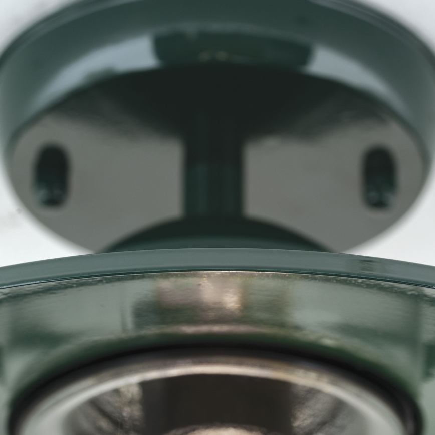 Lámpara de araña para exteriores EDWARD 1xE27/60W/230V IP44 verde