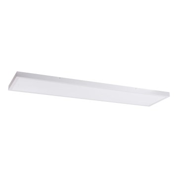 Panel LED LED/60W/230V 4000K 30x120 cm blanco