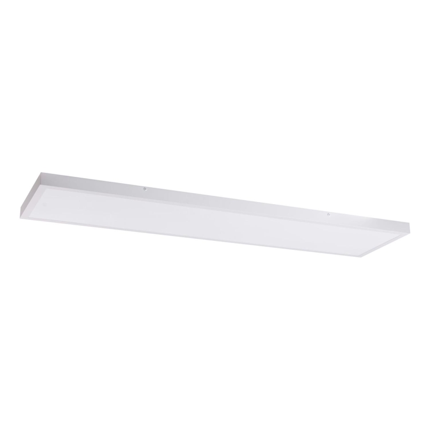 Panel LED LED/60W/230V 4000K 30x120 cm blanco