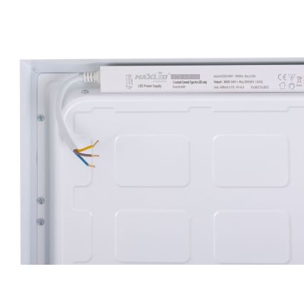Panel LED LED/60W/230V 4000K 30x120 cm blanco