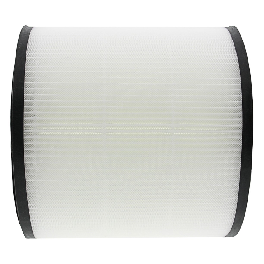 PATONA - Filtro HEPA FY0194/30 para Philips AC0820/10 - AB0820/30 serie 800