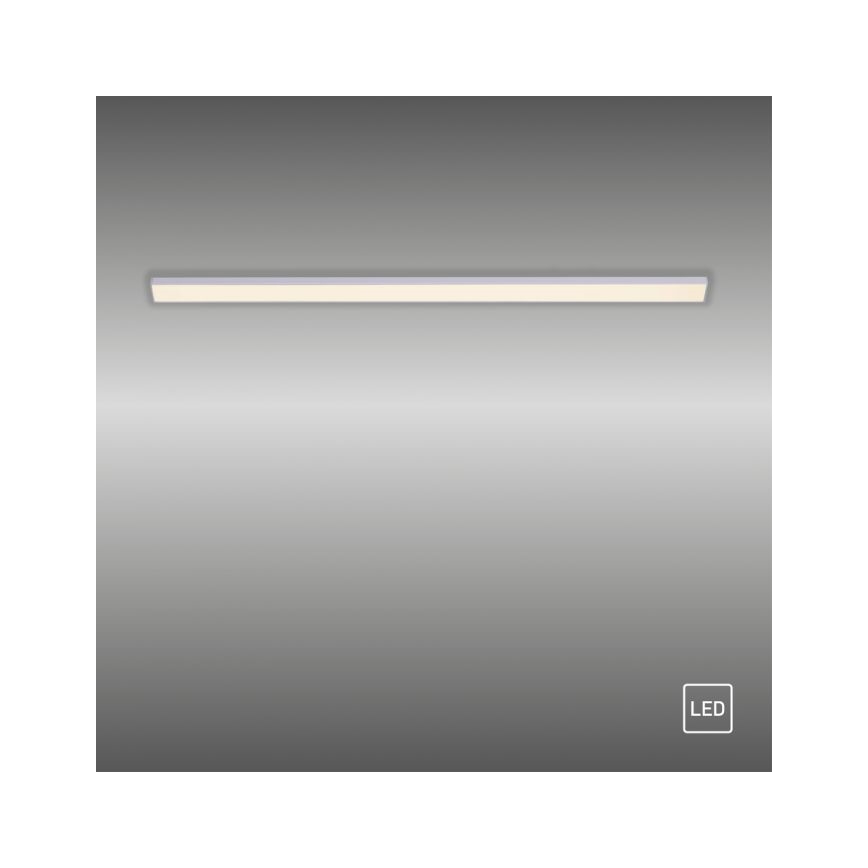 Paul Neuhaus 1125-21-A - Lámpara LED para debajo del armario de cocina AMON LED/6W/12/230V