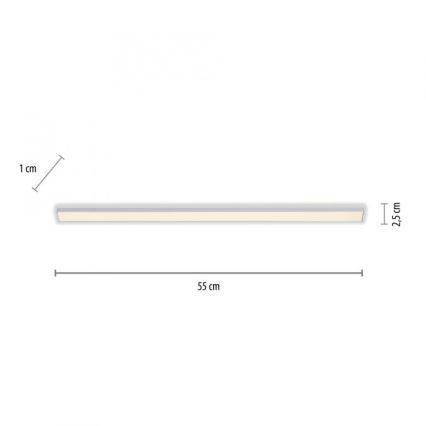 Paul Neuhaus 1125-21-A - Lámpara LED para debajo del armario de cocina AMON LED/6W/12/230V