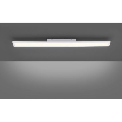 Paul Neuhaus 16537-16-O - Panel LED de superficie regulable FLAT LED/21W/230V + mando a distancia