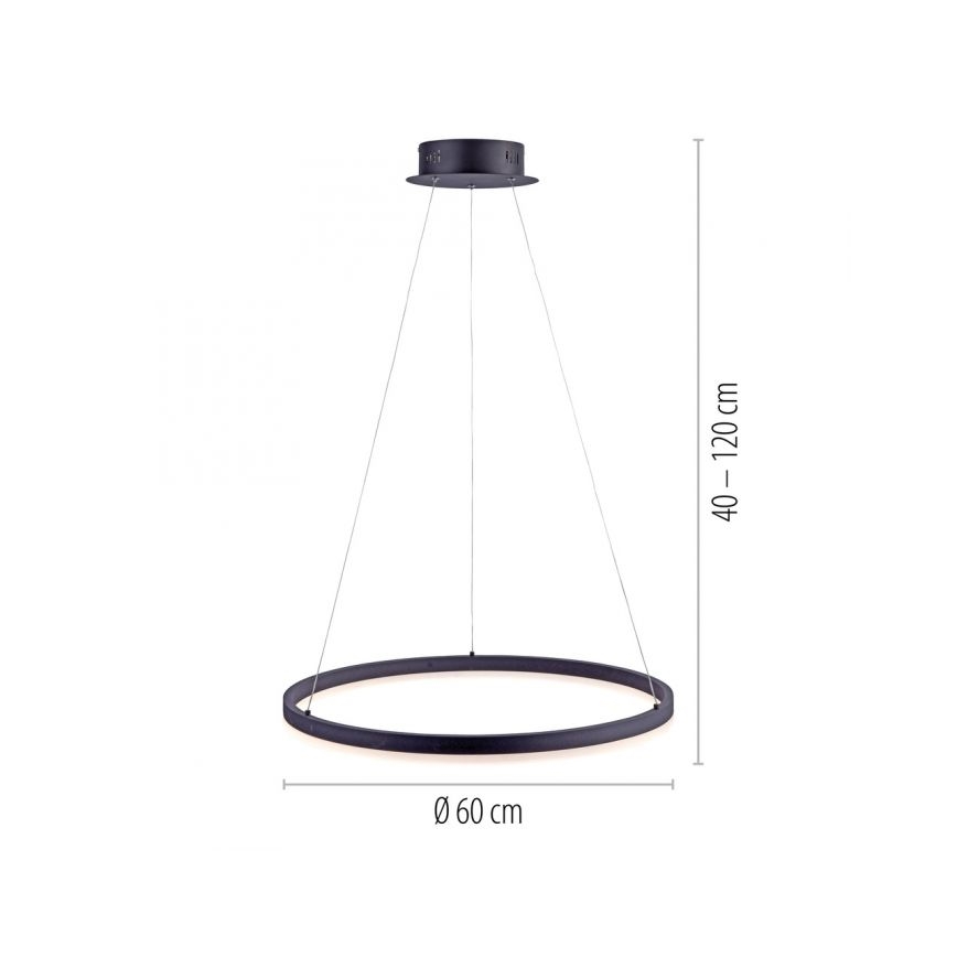 Paul Neuhaus 2382-13 - Lámpara colgante LED regulable TITUS LED/38,5W/230V