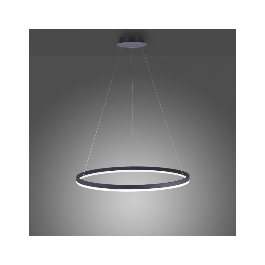 Paul Neuhaus 2383-13 - Lámpara de araña LED regulable de cable TITUS LED/50W/230V