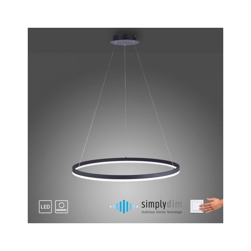 Paul Neuhaus 2383-13 - Lámpara de araña LED regulable de cable TITUS LED/50W/230V