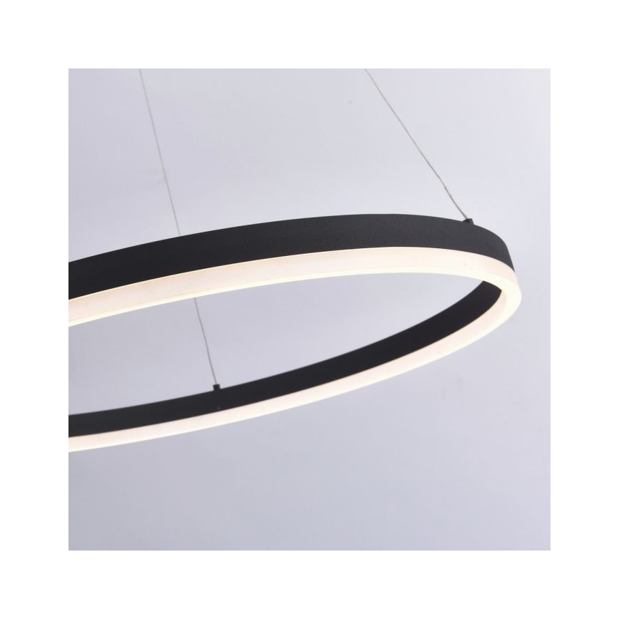 Paul Neuhaus 2383-13 - Lámpara de araña LED regulable de cable TITUS LED/50W/230V