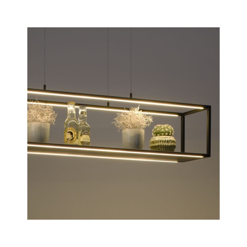 Paul Neuhaus 2441-18 - Lámpara colgante LED regulable CONTURA 4xLED/8W/230V