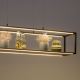 Paul Neuhaus 2441-18 - Lámpara colgante LED regulable CONTURA 4xLED/8W/230V