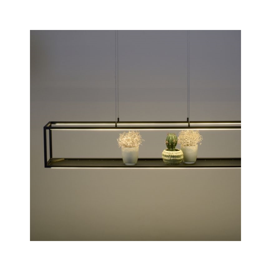Paul Neuhaus 2441-18 - Lámpara colgante LED regulable CONTURA 4xLED/8W/230V