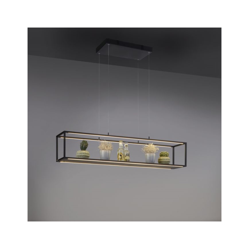 Paul Neuhaus 2441-18 - Lámpara colgante LED regulable CONTURA 4xLED/8W/230V