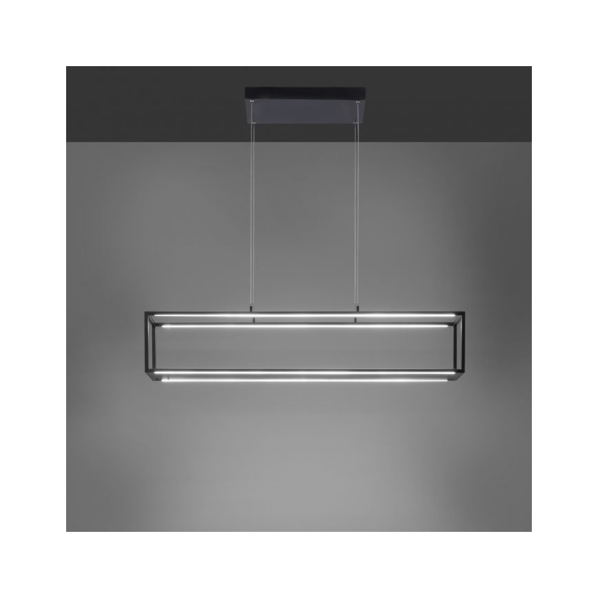 Paul Neuhaus 2441-18 - Lámpara colgante LED regulable CONTURA 4xLED/8W/230V