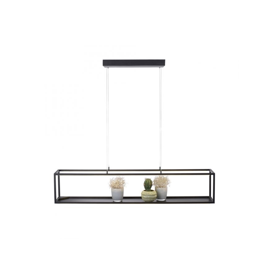 Paul Neuhaus 2441-18 - Lámpara colgante LED regulable CONTURA 4xLED/8W/230V