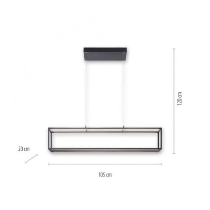 Paul Neuhaus 2441-18 - Lámpara colgante LED regulable CONTURA 4xLED/8W/230V