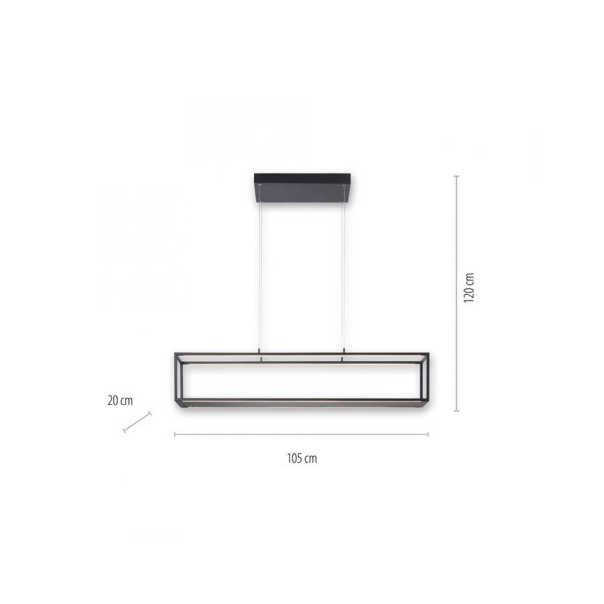 Paul Neuhaus 2441-18 - Lámpara colgante LED regulable CONTURA 4xLED/8W/230V