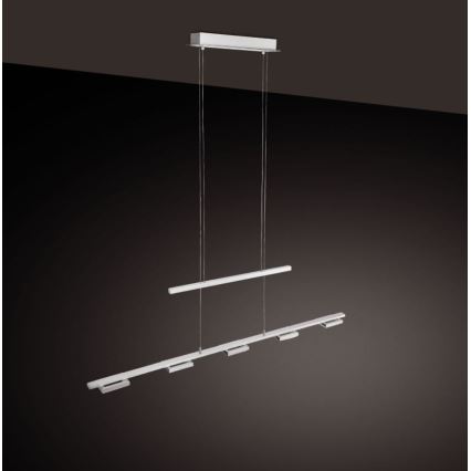 Paul Neuhaus 2446-55 - Lámpara colgante de luces LED regulable en cable INIGO 5xLED/4W/230V