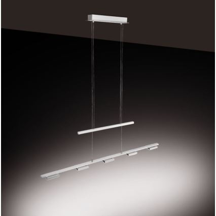 Paul Neuhaus 2446-55 - Lámpara colgante de luces LED regulable en cable INIGO 5xLED/4W/230V