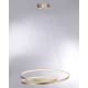 Paul Neuhaus 2474-12 - Lámpara de araña LED regulable de cable ROMAN LED/40W/230V dorado
