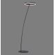 Paul Neuhaus 381-13 - Lámpara de pie LED regulable TITUS LED/19,5W/230V