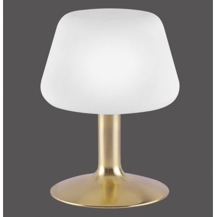 Paul Neuhaus 4078-60 - Lámpara de mesa regulable LED táctil TILL 1xG9/3W/230V latón