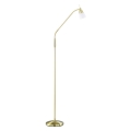 Paul Neuhaus 430-60 - Lámpara de pie táctil LED regulable PINO 1xG9/28W/230V dorado