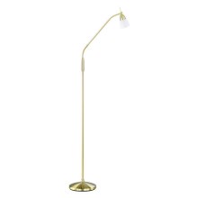 Paul Neuhaus 430-60 - Lámpara de pie táctil LED regulable PINO 1xG9/28W/230V dorado
