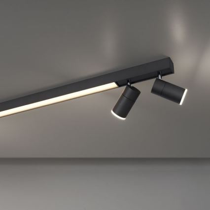 Paul Neuhaus 6121-13 - Foco LED regulable PURE 4xLED/4W/230V + LED/9W 2700-5000K + control remoto