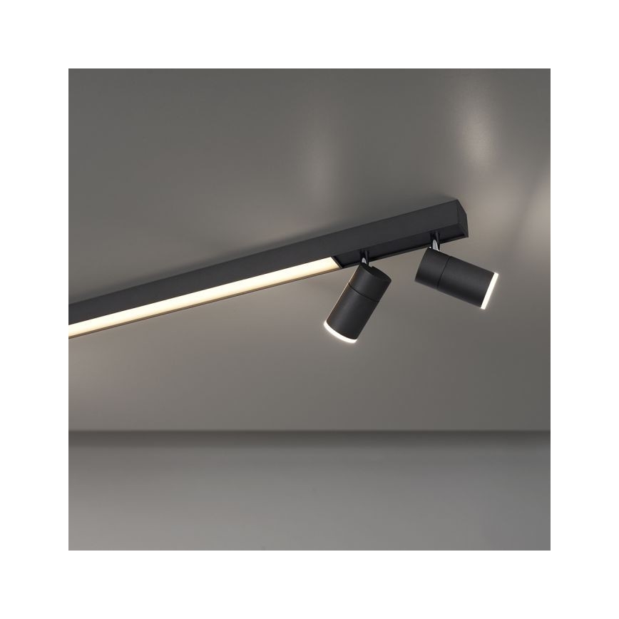 Paul Neuhaus 6121-13 - Foco LED regulable PURE 4xLED/4W/230V + LED/9W 2700-5000K + control remoto