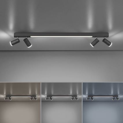 Paul Neuhaus 6121-13 - Foco LED regulable PURE 4xLED/4W/230V + LED/9W 2700-5000K + control remoto