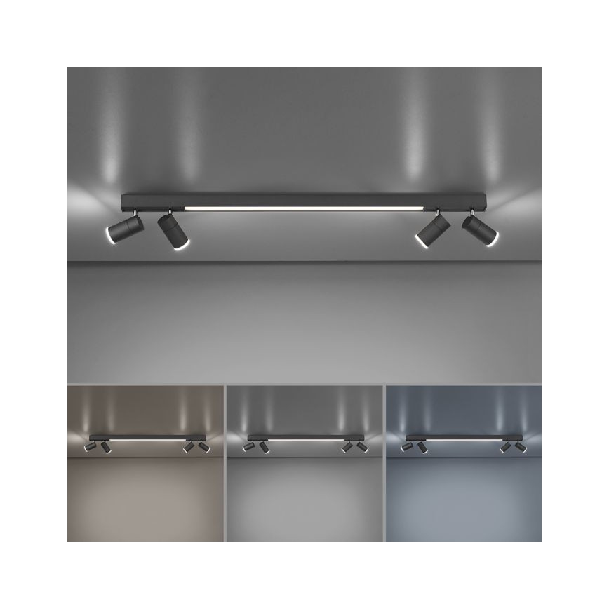 Paul Neuhaus 6121-13 - Foco LED regulable PURE 4xLED/4W/230V + LED/9W 2700-5000K + control remoto