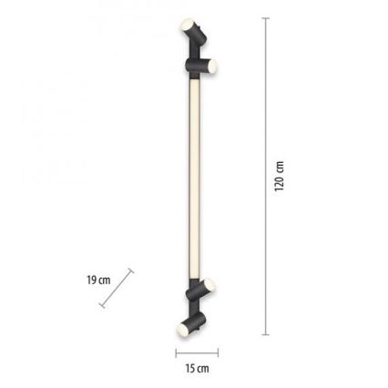 Paul Neuhaus 6121-13 - Foco LED regulable PURE 4xLED/4W/230V + LED/9W 2700-5000K + control remoto