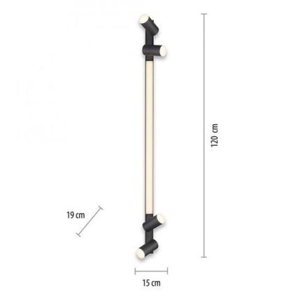 Paul Neuhaus 6121-13 - Foco LED regulable PURE 4xLED/4W/230V + LED/9W + mando a distancia