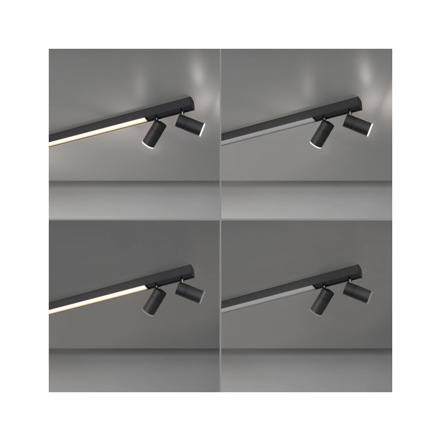 Paul Neuhaus 6121-13 - Foco LED regulable PURE 4xLED/4W/230V + LED/9W 2700-5000K + control remoto