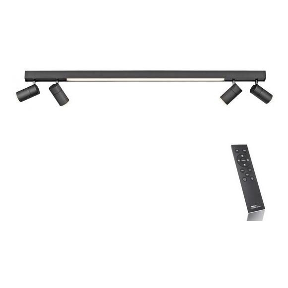 Paul Neuhaus 6121-13 - Foco LED regulable PURE 4xLED/4W/230V + LED/9W 2700-5000K + control remoto