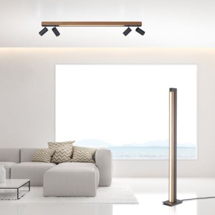 Paul Neuhaus 6121-79 - Foco LED regulable PURE 4xLED/4W/230V + LED/9W 2700-5000K + control remoto