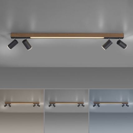 Paul Neuhaus 6121-79 - Foco LED regulable PURE 4xLED/4W/230V + LED/9W 2700-5000K + control remoto