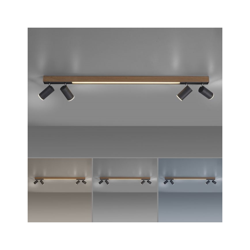 Paul Neuhaus 6121-79 - Foco LED regulable PURE 4xLED/4W/230V + LED/9W 2700-5000K + control remoto
