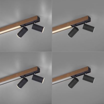 Paul Neuhaus 6121-79 - Foco LED regulable PURE 4xLED/4W/230V + LED/9W 2700-5000K + control remoto