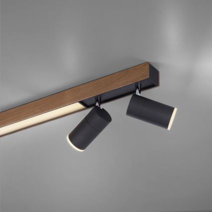 Paul Neuhaus 6121-79 - Foco LED regulable PURE 4xLED/4W/230V + LED/9W 2700-5000K + control remoto